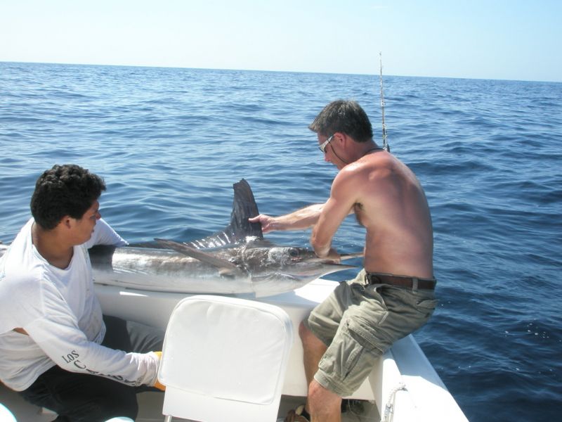 HI TOMMY & LORI, BILL GOODNIGHT HERE. YOUR GUYS WERE A BLAST! ON THE FISH ALL DAY. 5 DURADO, 1 MARLIN AND 1 GERAT TIME!! THE CREW FROM GENUINE AUTO GLASS WILL BE BACK FOR SURE. THANKS AGAIN