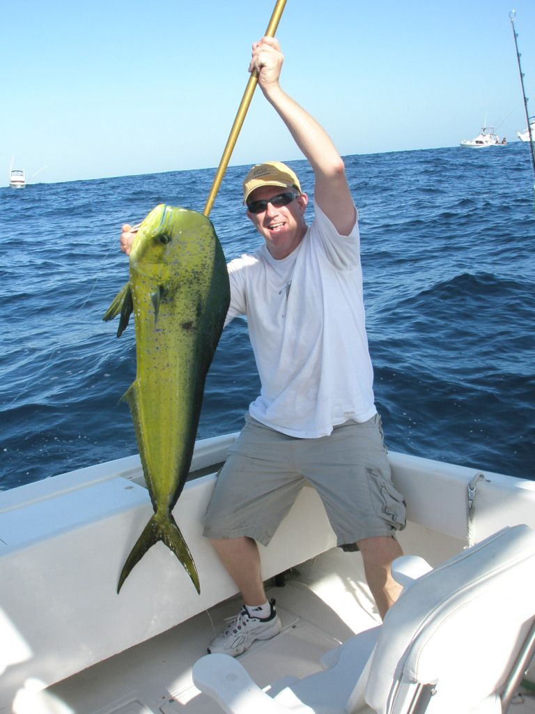 HI TOMMY & LORI, BILL GOODNIGHT HERE. YOUR GUYS WERE A BLAST! ON THE FISH ALL DAY. 5 DURADO, 1 MARLIN AND 1 GERAT TIME!! THE CREW FROM GENUINE AUTO GLASS WILL BE BACK FOR SURE. THANKS AGAIN