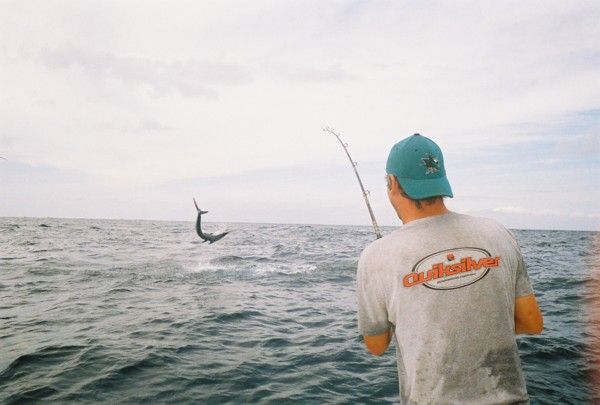 Just wanted to send you a letter thanking you for your amazing service, and your crews uncanny ability to find, put us on, and release fish.
