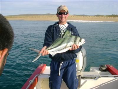 Cock a doodle doo Rooster fish is one cool looking species!!!! This was caught by Andy Venden