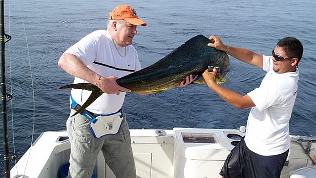 Here is Jerry with his 49 1/4 inch – 40 pound Durado and I know that ishow big it was cause I heard it every hour on the hour from Jerry. He isgoing to put it on his wall.Dan Johnson