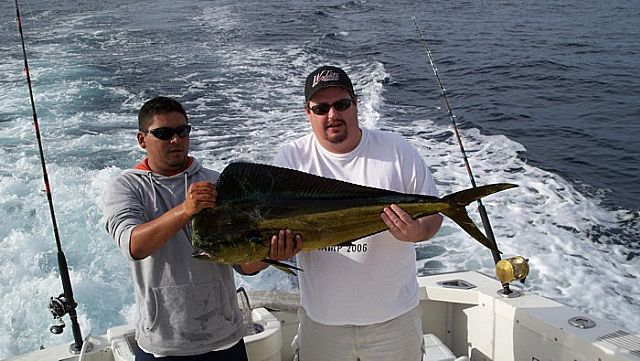 Here is Dan with the first boated fish on Cabo Magic Dos during the NealVenden Birthday Celebration. I still say it’s bigger than Jerry’s. Dan Johnson