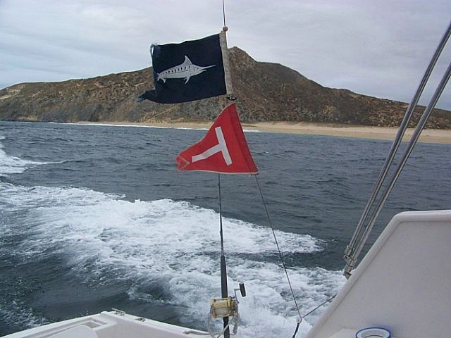 Cathy and I just wanted to write you a letter to express our thanks for a great day on the water. It was always a dream of mind to catch a marlin. Cabo Magic and the hard work of the captain and deck hand made that possible my sincere thanks and hoping to fish with you again.