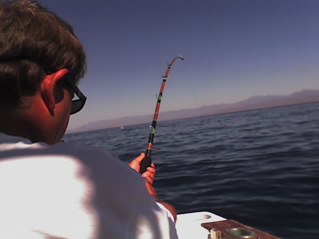 we had a very successful trip and got 2 Large Marlin.The boat and crew were great.Muchas Gracias to everyone.