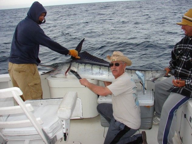 Fished 2 days caught so many dorado each day plus the big bonus for me my first Striped Marlin.