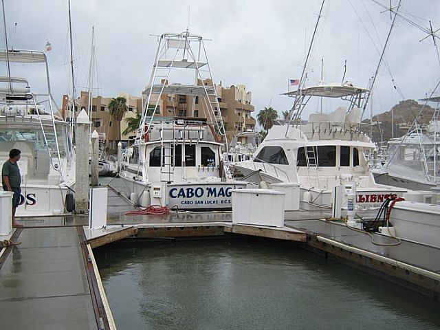 Tuesday 3:30pm Cabo Time