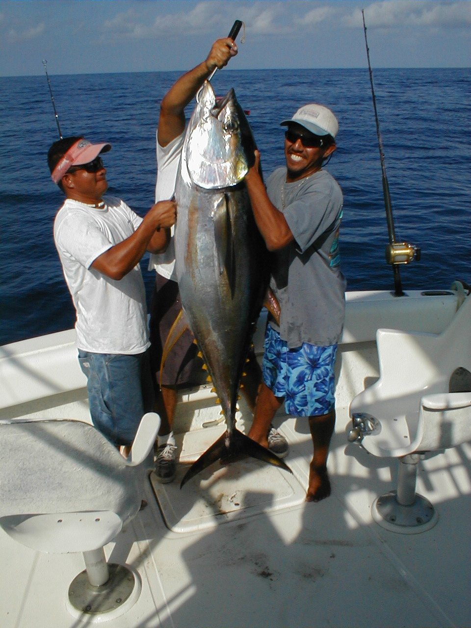3 Yellowfin Tuna