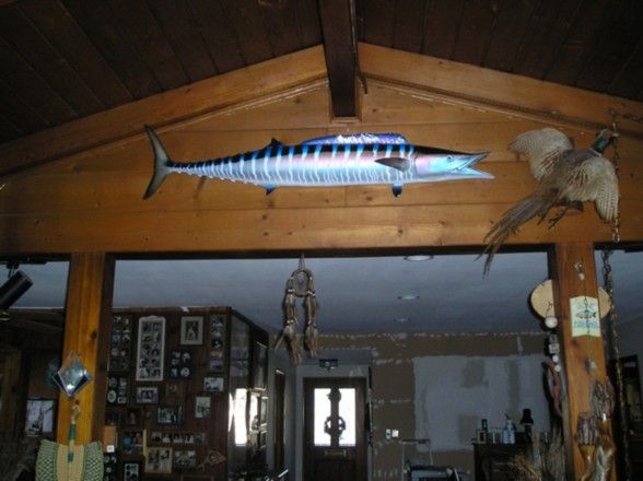 I received the Wahoo replica today and added it to the rest of my collection. It sure looks great in my family room. I attached a couple of pictures. It reminds me of the fantastic trip we had last August.