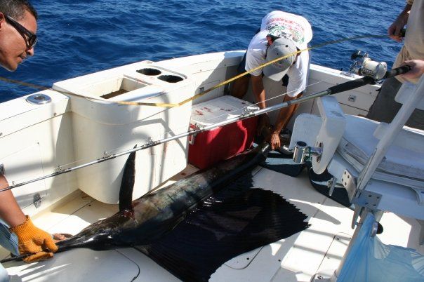 Thanks so much for the wonderful day of sportfishing – the day started out slow, but by about 10:30 Charlie had us on the fish. We pulled in 4 dorado in about an hour and a half.