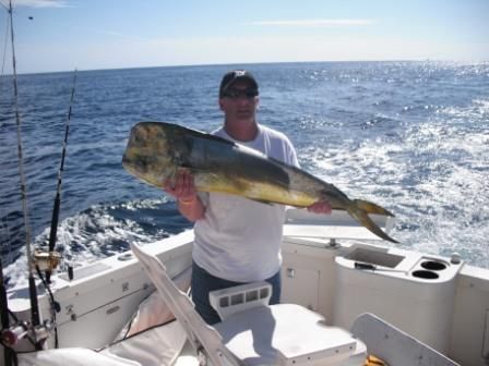 The fishing charter was more than we imagined. Not only did we catch numerous Dorado and a sailfish, we were blessed to see whales, dolphins, sea lions, as well as the beautiful shoreline of Cabo San Lucas.