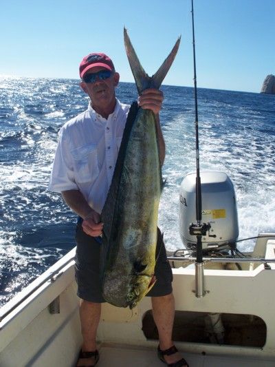 Thanks for the picture of Hugo a GREAT CAPT AND FRIEND!! I attached 4 pics of me holding my biggest Dorado ever! The group this year included 3 new members and they all raved about the service CaboMagic provided!! Looking foward to December and fishing with Hugo again
