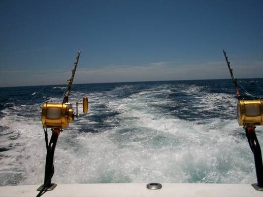 Team Cabo Magic on their way to 3rd place finish Release DivisionPlus a weighed Dorado
