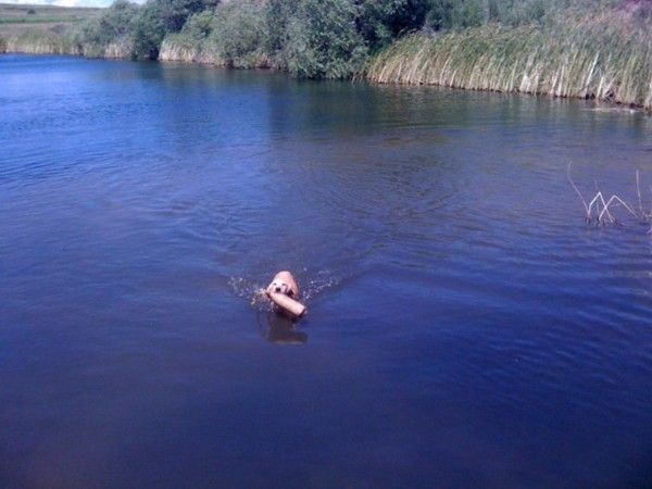 Max Patton First Water Retrieve