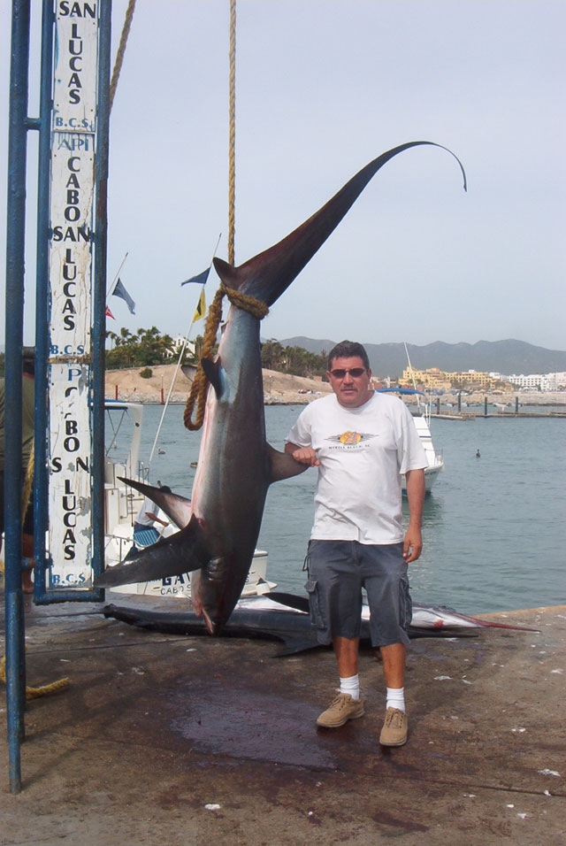 Staff Member