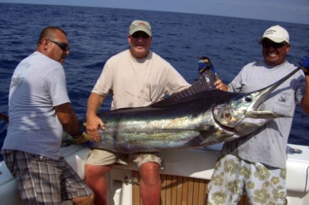 The crews on your boats were exceptionally professional, friendly, and helpful.