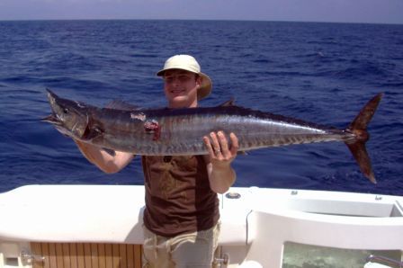 The crews on your boats were exceptionally professional, friendly, and helpful.