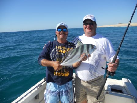 Another great trip to Cabo!! Caught lot’s of Roosterfish and Tuna! Thanks for the great service on my 8th Birthday trip with 10 Amigos. I’ll ask everyone in the group to send photos to you to post on your web site! Once again Thanks for the personal service you have given to me!!! Your friend Neal Vxxxxx