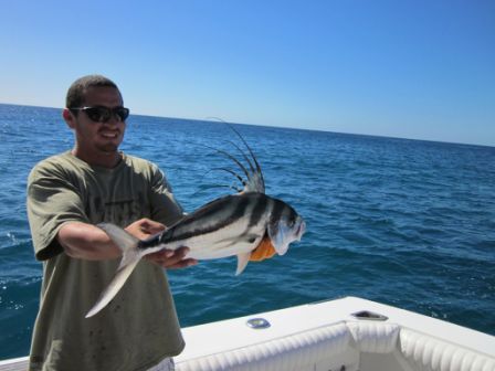 Another great trip to Cabo!! Caught lot’s of Roosterfish and Tuna! Thanks for the great service on my 8th Birthday trip with 10 Amigos. I’ll ask everyone in the group to send photos to you to post on your web site! Once again Thanks for the personal service you have given to me!!! Your friend Neal Vxxxxx