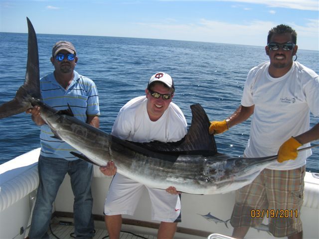 David’s Striped Marlin revived & released after photo