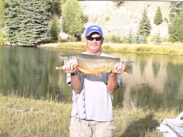 One other personAboard our 33′ Blackfin Combi Cruiser$400 ea + $15 for licenseFriday August 3rdFish with 52 yr old Rodney R from Telluride, ColoradoFun guy wanting to have fun – I get along with everybodyInterested – Contact this office for details!