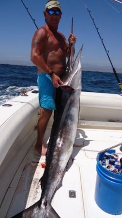 Rodney33′ Blackfin CombiAug 03/05 20128 Striped Marlin released3 Dorado