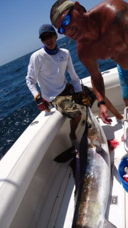ThanksRodney33′ Blackfin CombiAug 03/05 20128 Striped Marlin released3 Dorado