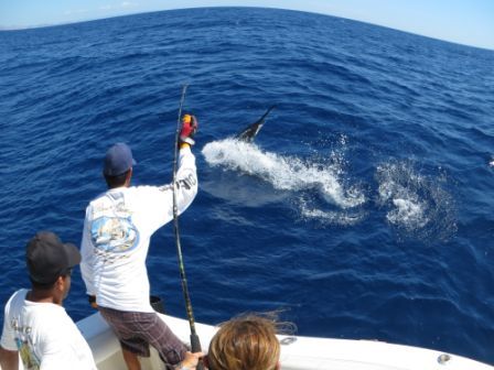 Kyle McNewBryan/College Station, TexasHome of the Fightin Texas AggiesSeptember 7/8 201233′ Blackfin Combi