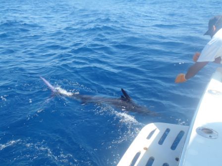 Kyle McNewBryan/College Station, TexasHome of the Fightin Texas AggiesSeptember 7/8 201233′ Blackfin Combi