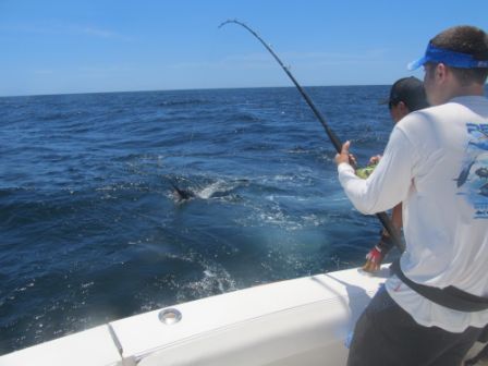 Anthony Altobelli – Middletown, NJFishing date July 27th aboard 33′ Blackfin Combi