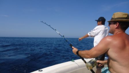RODNEY REEDMontrose Colorado33′ Blackfin Combi