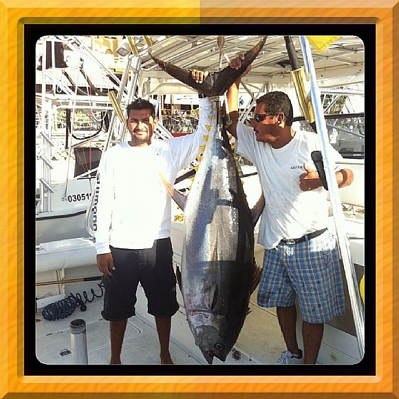 Thats alot of Yellowfin Tuna SASHIMI