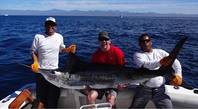 http://cabomagicsportfishing.com/ClientPhotos.aspx