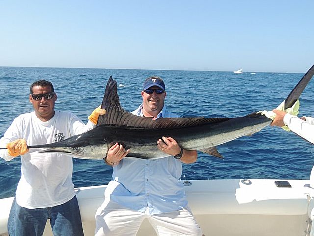 4 striped marlin