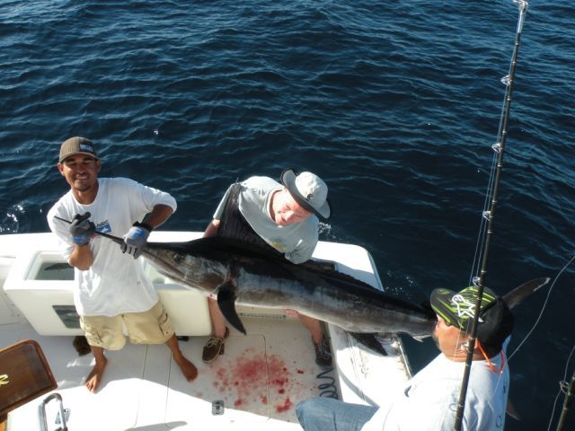 37′ Bertram Sportfisher￼