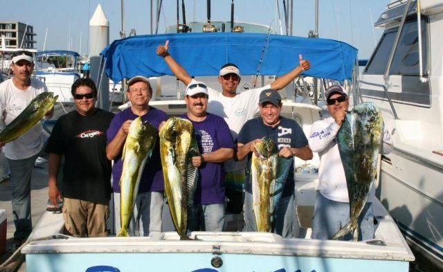 Awesome Winter fishing in Cabo on our 31′ Bertram #2 ..