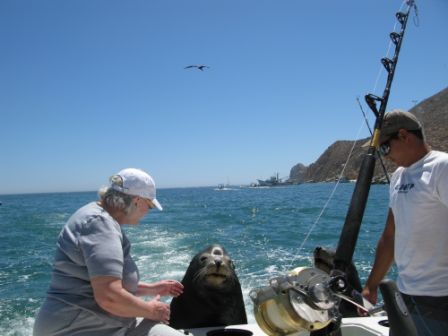Fishing date April 231′ Blackfin
