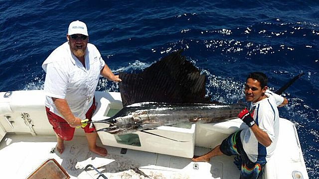Sarge aboard 37′ Bertram for 2 weeks ..PEZ BELLA … Pacific Sailfish