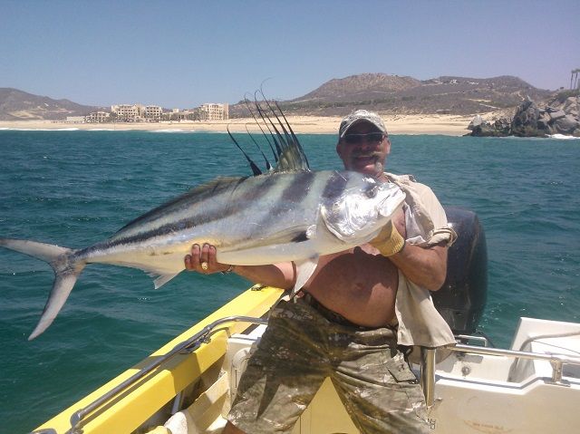 Can u say GIGANTIC Rooster!Captain Justo does it again!