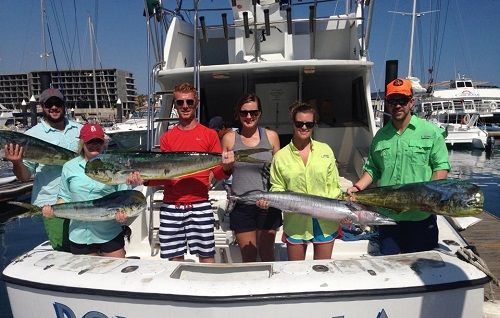Fishing Date October 24, 201438′ Stellican