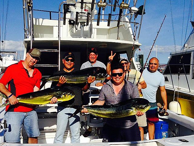 38′ Stellican and 33′ Blackfin Combi