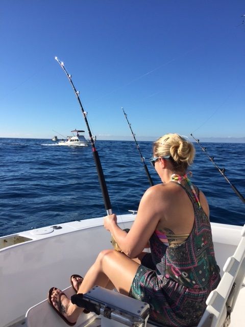 Fishing Date Nov 13, 201438′ Stellican