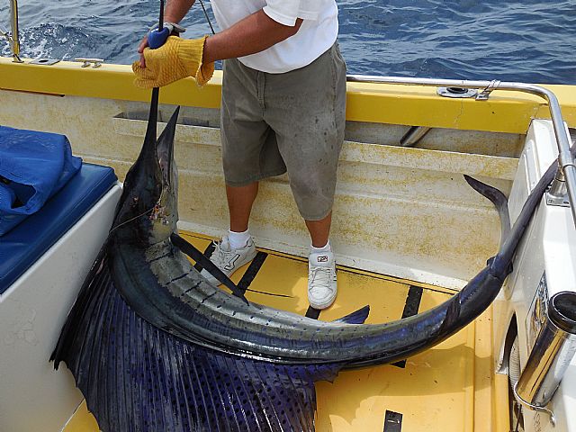 Fishing Dates Sept 1/3 2014