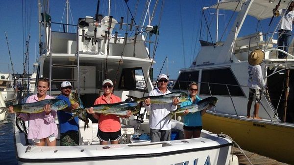 Fishing date 24 December 201438′ Stellican