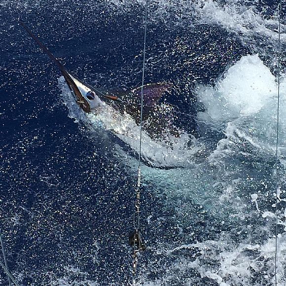 35′ Cabostay tuned for results on 22 June