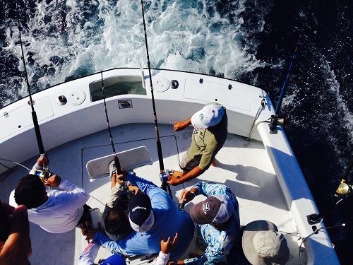 VIP Guests visiting from San Antonio, Texas fished today with Capt Carlos 