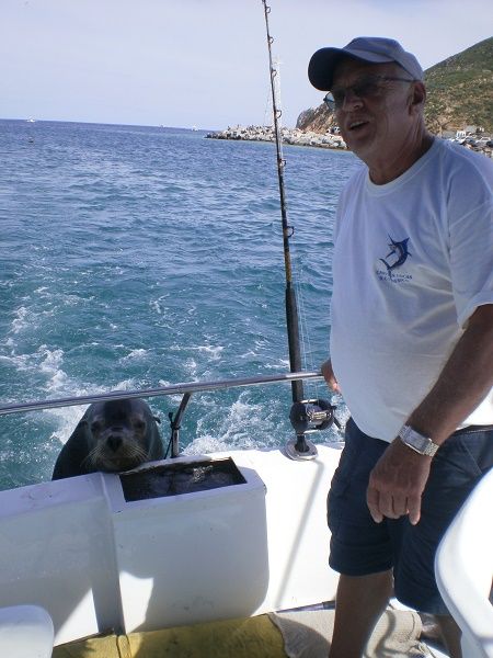 Had a great time deep sea fishing (Oct 23, 2015) for first time and catching a striped marlin.