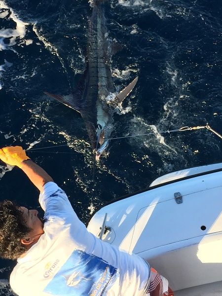 Days bounty CR&R 3 Marlin + 4 Dorado