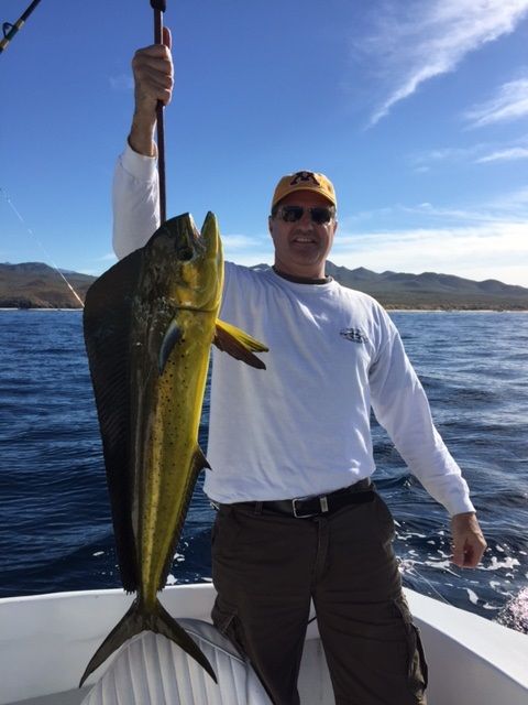 Todays bounty 3 Dorado + 1 Wahoo