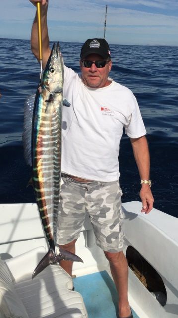 Todays bounty 3 Dorado + 1 Wahoo