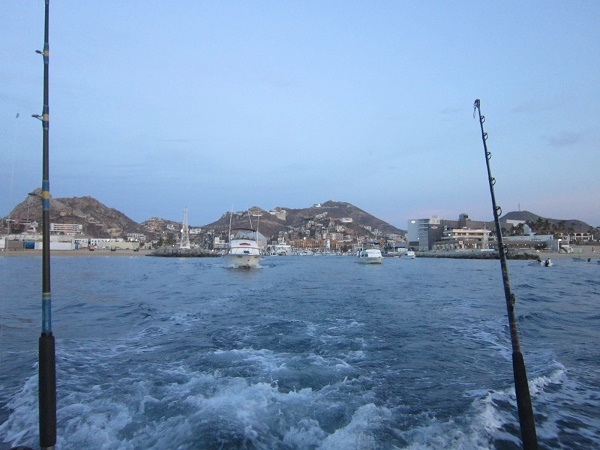 Visiting from Sunland, California, VIP Guests John & Christine Eldred, Madeleine Eldred, Ryan Eldred and Dillon Waidyatilleka fished with Capt Victor on July 17th and these photos tell the REEL REAL Story!￼